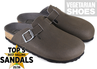 Moab Slip On (Brown) 