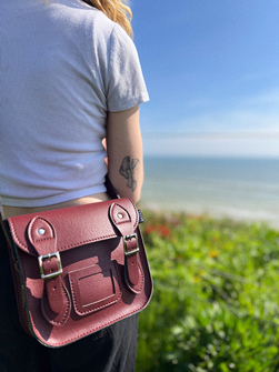 Mini Satchel (Cherry Red)