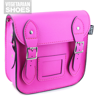 Mini Satchel (Pink) 
