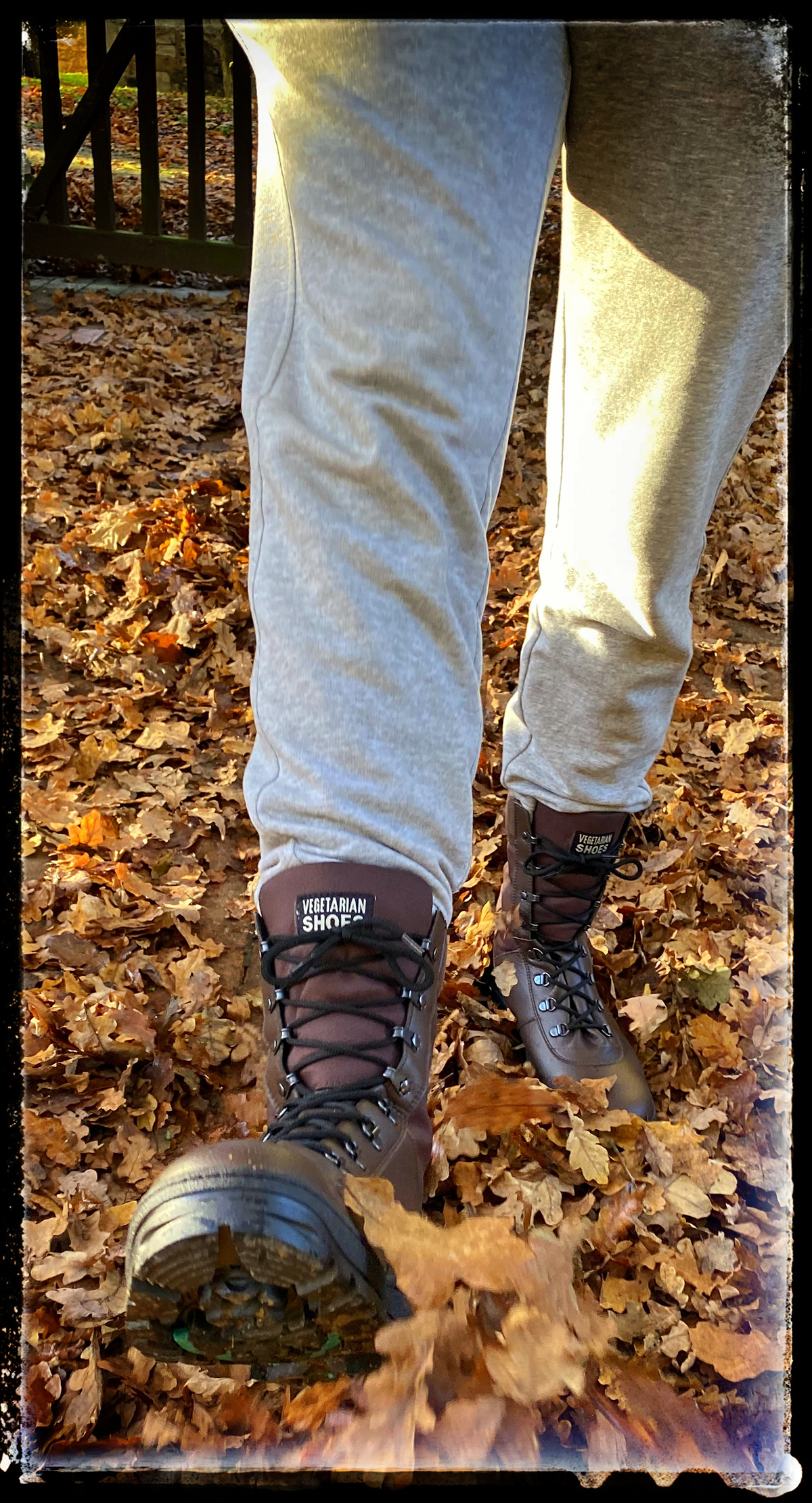 Ice patrol hot sale vegetarian shoes