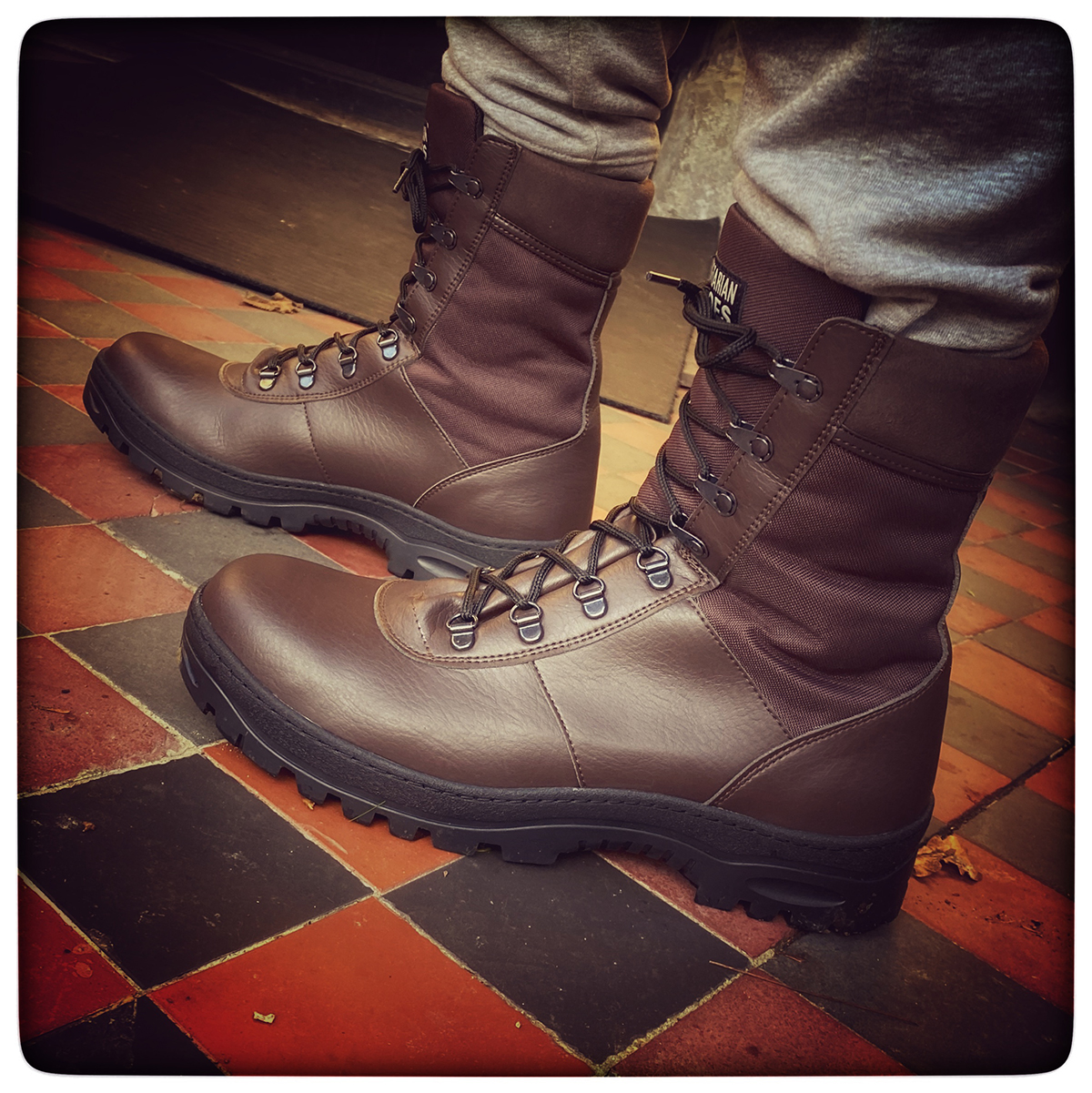 Ice patrol hot sale vegetarian shoes