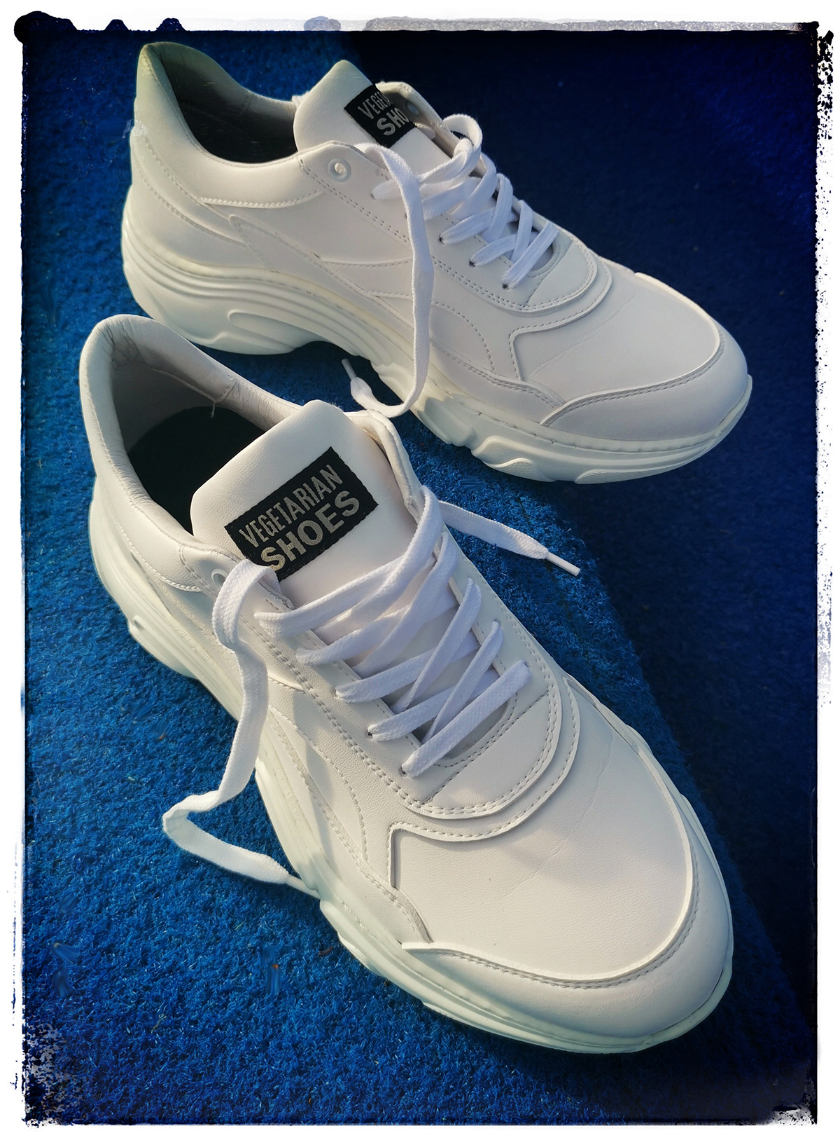 sneaker casual zero
