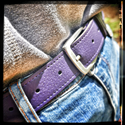 Town Belt (Purple) 