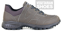 Trail Shoe (Brown) 