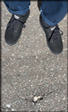 Wombat 3 Fake Suede (Black) 