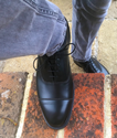 Pimlico Oxford (Black) 