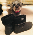 Snug Boot Pineapple (Black) 