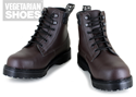 Euro Safety Boot (Brown) 