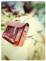 Cycle Satchel (Cherry) 