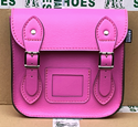 Mini Satchel (Pink) 