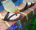 Toe Strap Sandal (Brown) 