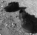 Chevron Sneaker Pineapple (Black) 