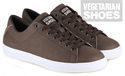 Fanatic Sneaker (Brown) 