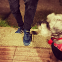 Vegan Runner (Navy) 