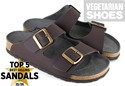 Two Strap Sandal (Brown) 