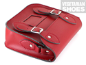 Mini Satchel (Red) 