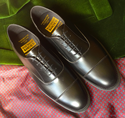 Pimlico Oxford (Black) 