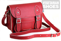 Shoulder Bag / Mini Satchel (Red) 