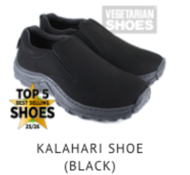 Vegan Shoes