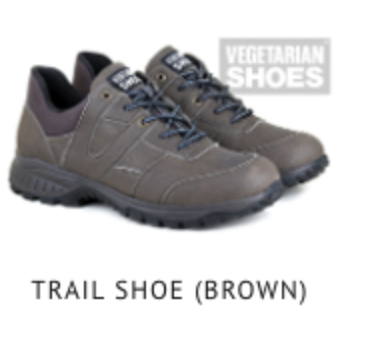 Vegan Shoes